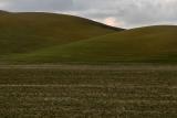 The Palouse