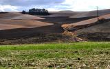 The Palouse