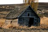 Abandoned shack