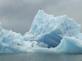 Bald Eagle on an Iceberg in Tracy Arm Fjord