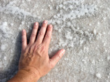 Salt from the 10,000+ sq. mile Rann of Kutch