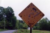45 Right Hand Curve Huntington MA 2.jpg