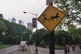 Horse and Buggy Central Park.jpg