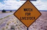 Watch for Livestock Cochita NM.jpg