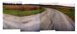 Road, Brown County Indiana (1989)