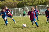 DSC_5878.jpg