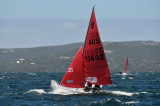 DSC_7320.JPG
