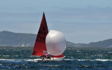 DSC_7336.JPG