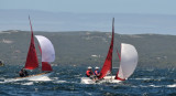 DSC_7359.JPG