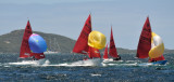 DSC_7383.JPG