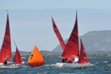 DSC_7397.JPG