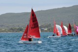 DSC_7509.JPG