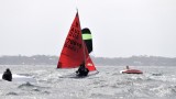 DSC_7699.JPG