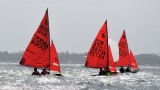 DSC_7706.JPG