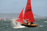 DSC_7730.JPG
