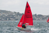 DSC_9206.jpg