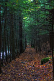 _MG_6965_cs4_03_web.jpg