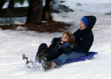 Sledding near the stables