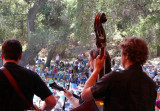 Some Sunday afternoon bluegrass