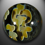 Artist: Tod Brown Size: 2.01 Type: Lampworked Boro