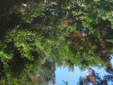 Water of Leith