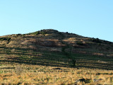 Cultivation Terraces on Crow Hill