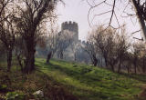 Ohrid castle