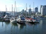 False Creek 2 , normal exposure