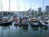 False Creek 3, normal exposure