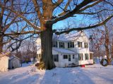 farmhouse and oak tree