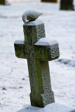 The frosty cross