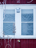 Icy window