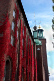 City Hall in red dress