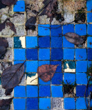 Broken mosaic