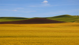 3 harvests