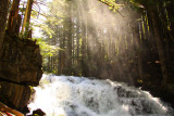 misty rays off the falls.