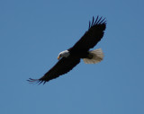 riding the wind