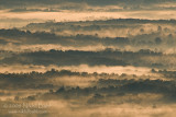 Fog in the valley_NBP5655.jpg