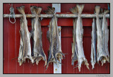 Stockfish