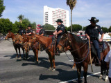 Parade 73 LAPD Mounted Police.jpg