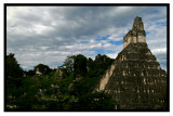 Temple I In Tikal