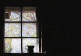 The Shed Window