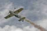 Su-31 (Jurgis Kairys)