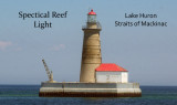 Specitical Reef Light