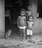 Cat and kids from Wallis