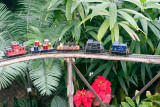 Flower Trains