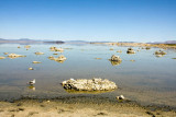 Mono Lake and Nature