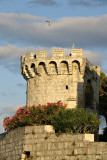 Korčula Town