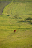 Jogging through the fields near Csíksomlyó