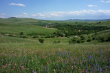 Meadows near Dârjiu (Székelyderzs)